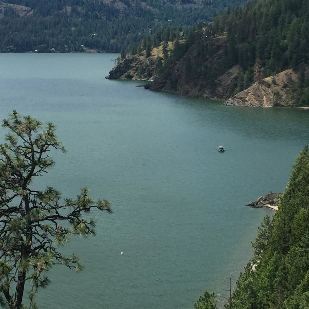 Meet your Posher, Marsha